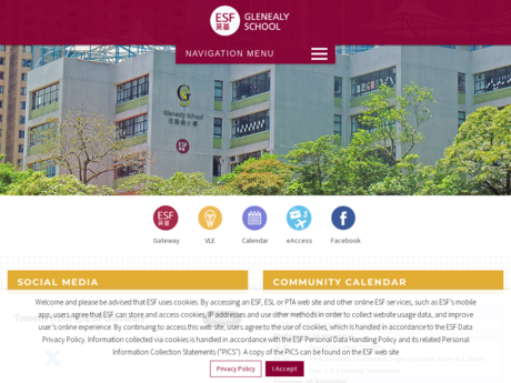 Website Screenshot of Glenealy School