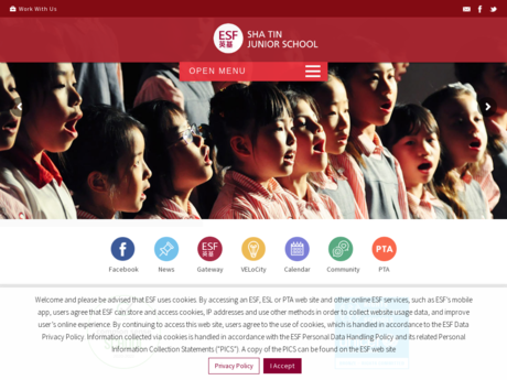 Website Screenshot of Sha Tin Junior School