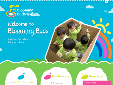 Website Screenshot of Blooming Buds Preschool