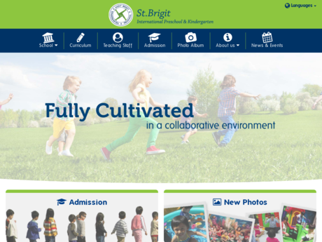 Website Screenshot of Saint Brigit International Kindergarten