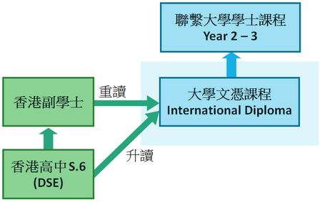 hk diploma path
