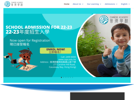 Website Screenshot of Chinese Academy