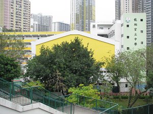 A photo of Lung Cheung Government Secondary School